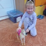 phoca_thumb_m_hrakov den 17 Fotogalerie